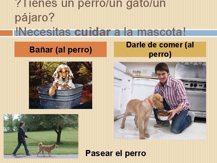 ? Tienes un perro/un gato/un pájaro? !Necesitas cuidar a la mascota! Bañar (al perro)