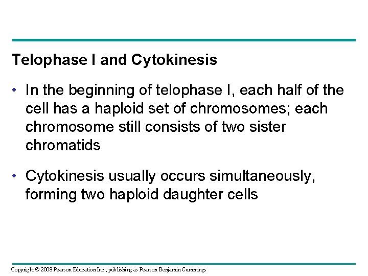 Telophase I and Cytokinesis • In the beginning of telophase I, each half of
