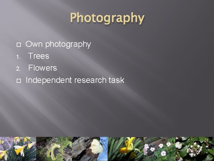 Photography 1. 2. Own photography Trees Flowers Independent research task 