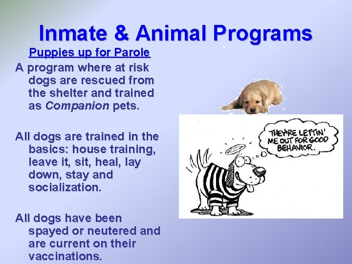 Inmate & Animal Programs Puppies up for Parole A program where at risk dogs