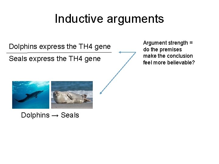 Inductive arguments Dolphins express the TH 4 gene Seals express the TH 4 gene