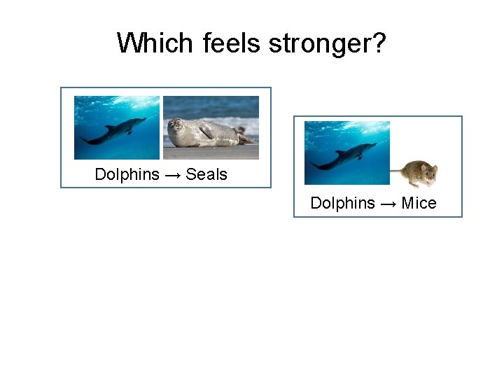 Which feels stronger? Dolphins → Seals Dolphins → Mice 