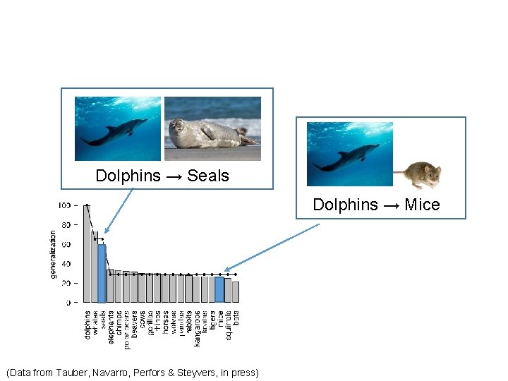 Dolphins → Seals Dolphins → Mice (Data from Tauber, Navarro, Perfors & Steyvers, in