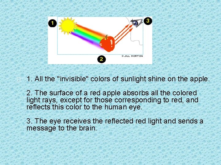� 1. All the "invisible" colors of sunlight shine on the apple. 2. The
