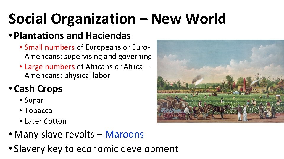 Social Organization – New World • Plantations and Haciendas • Small numbers of Europeans