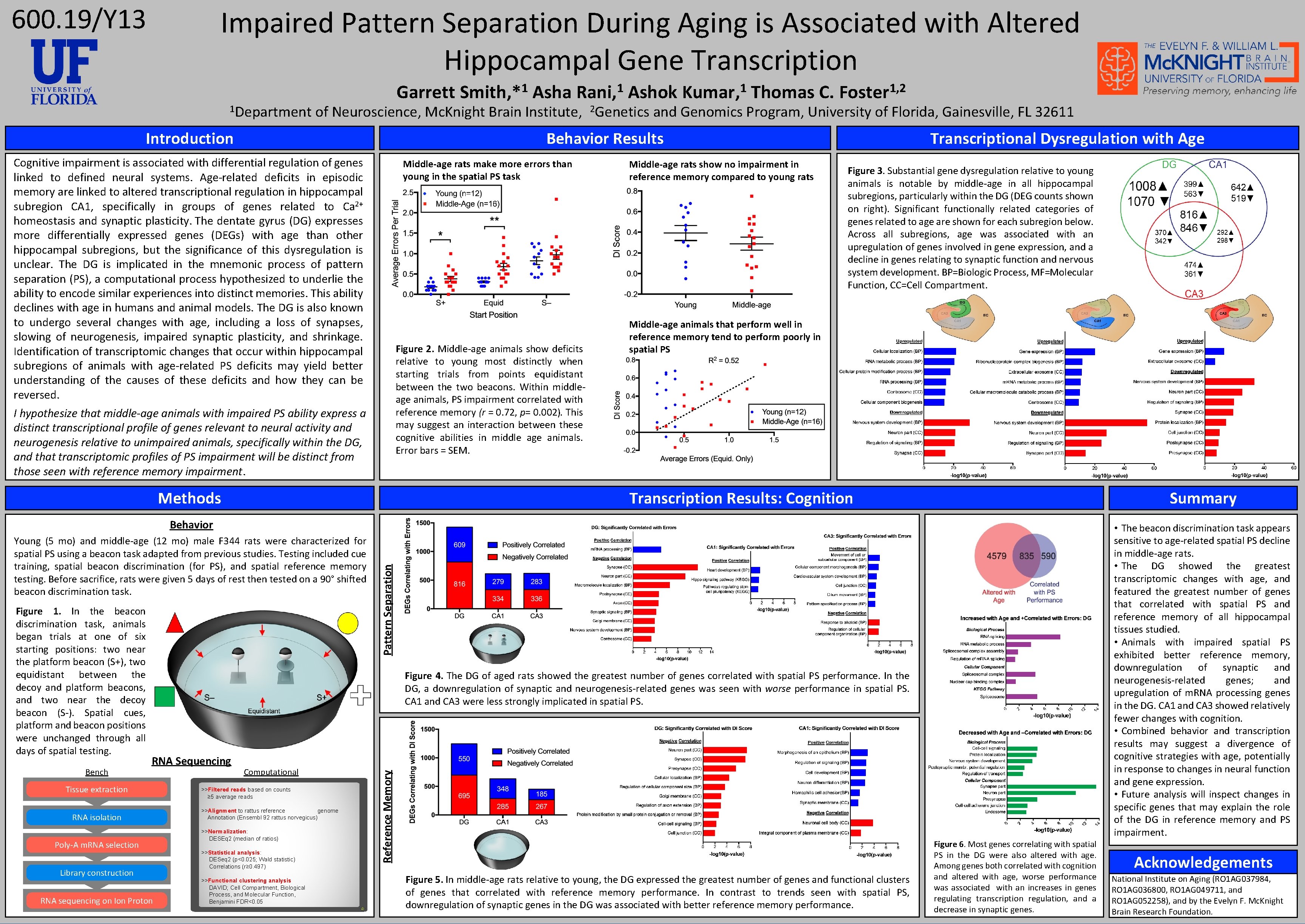 600. 19/Y 13 Impaired Pattern Separation During Aging is Associated with Altered Hippocampal Gene
