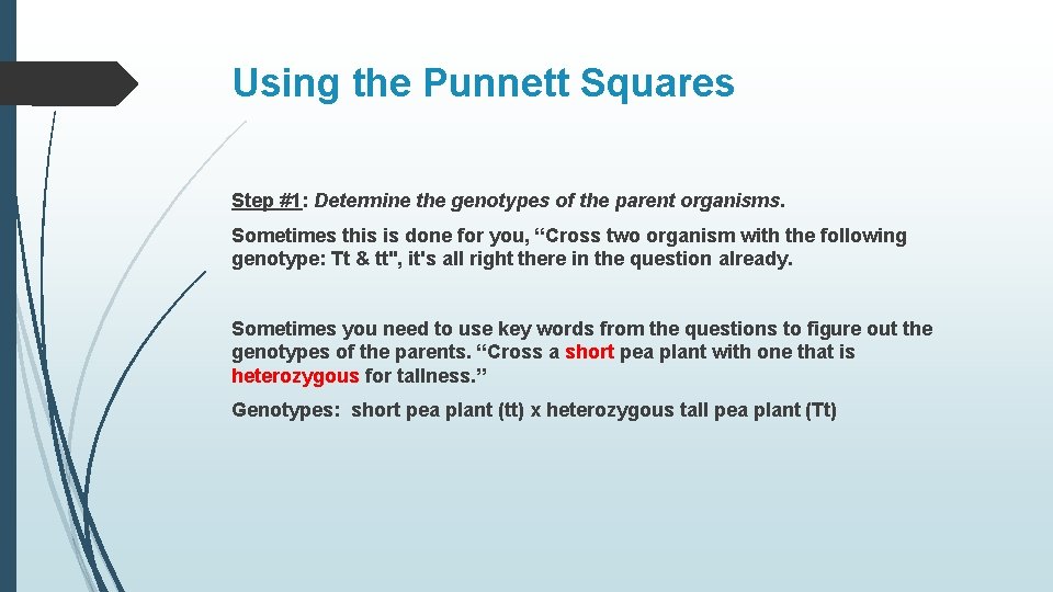 Using the Punnett Squares Step #1: Determine the genotypes of the parent organisms. Sometimes