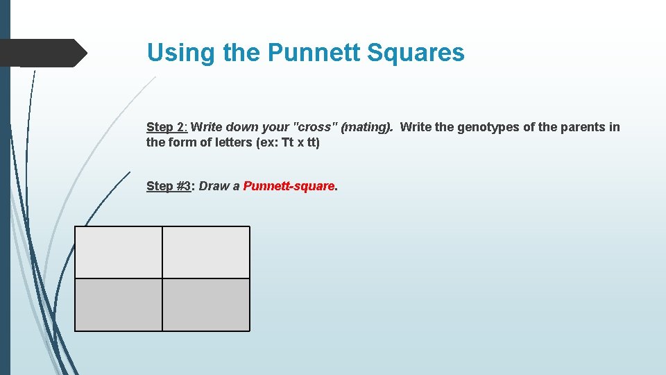 Using the Punnett Squares Step 2: Write down your "cross" (mating). Write the genotypes