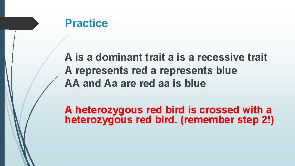 Practice A is a dominant trait a is a recessive trait A represents red