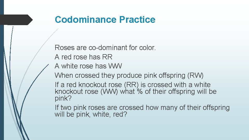 Codominance Practice Roses are co-dominant for color. A red rose has RR A white
