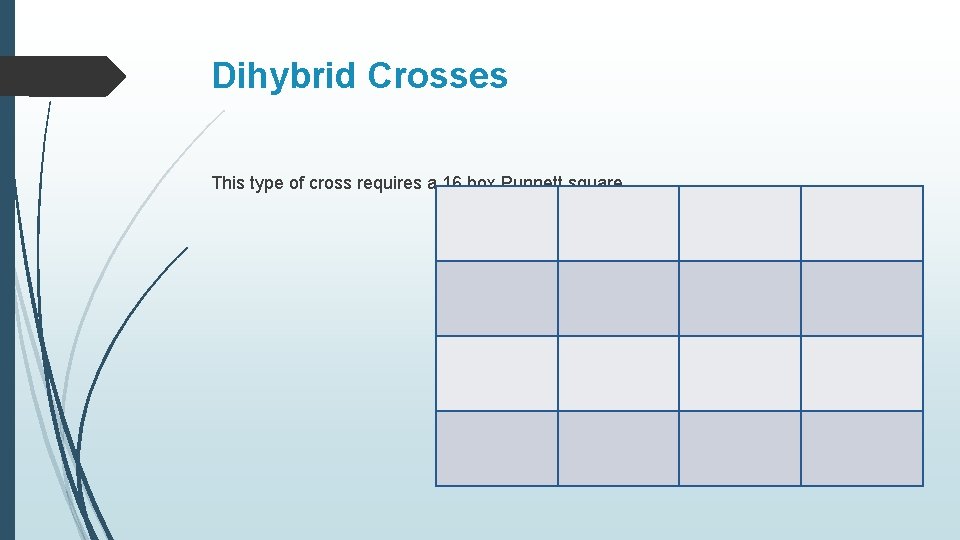 Dihybrid Crosses This type of cross requires a 16 box Punnett square. 