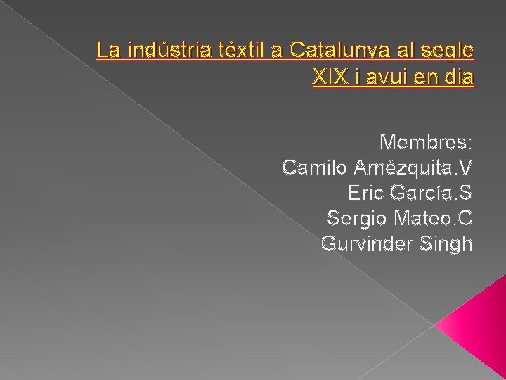 La indústria tèxtil a Catalunya al segle XIX i avui en dia Membres: Camilo