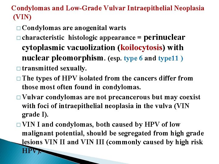 Condylomas and Low-Grade Vulvar Intraepithelial Neoplasia (VIN) � Condylomas are anogenital warts � characteristic Condylomas and Low-Grade Vulvar Intraepithelial Neoplasia (VIN) � Condylomas are anogenital warts � characteristic