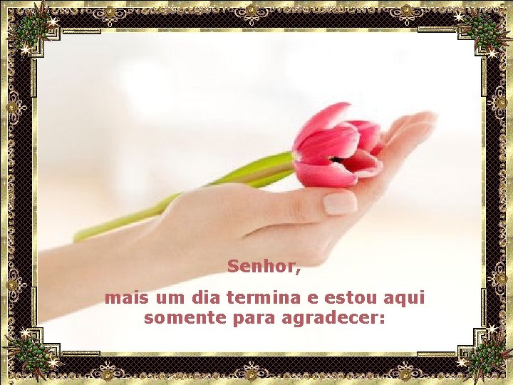 Senhor, mais um dia termina e estou aqui somente para agradecer: 