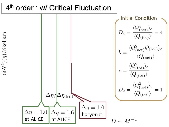 4 th order : w/ Critical Fluctuation Initial Condition at ALICE baryon # 