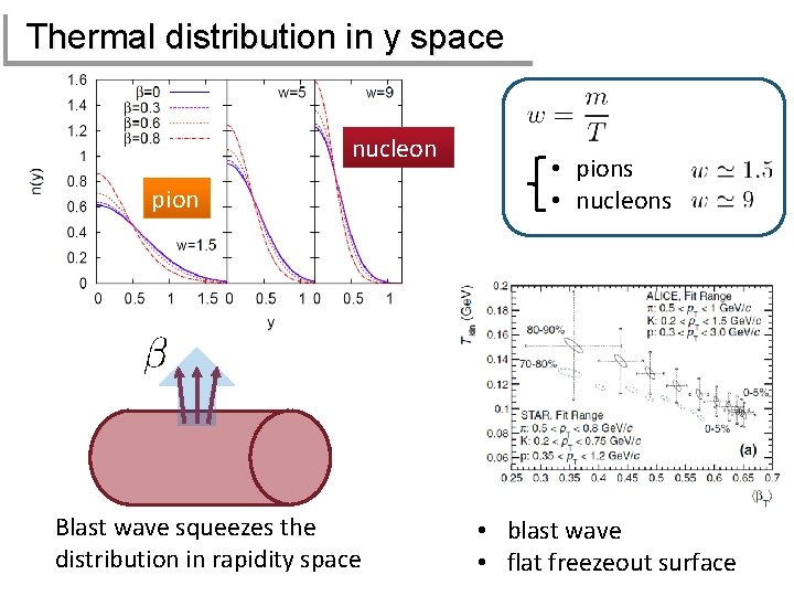 Thermal distribution in y space nucleon pion Blast wave squeezes the distribution in rapidity