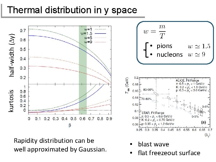  • pions • nucleons kurtosis half-width (Dy) Thermal distribution in y space Rapidity