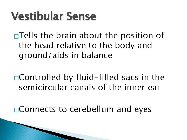 Vestibular Sense �Tells the brain about the position of the head relative to the