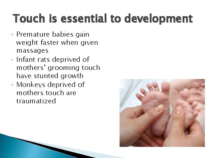Touch is essential to development ◦ Premature babies gain weight faster when given massages