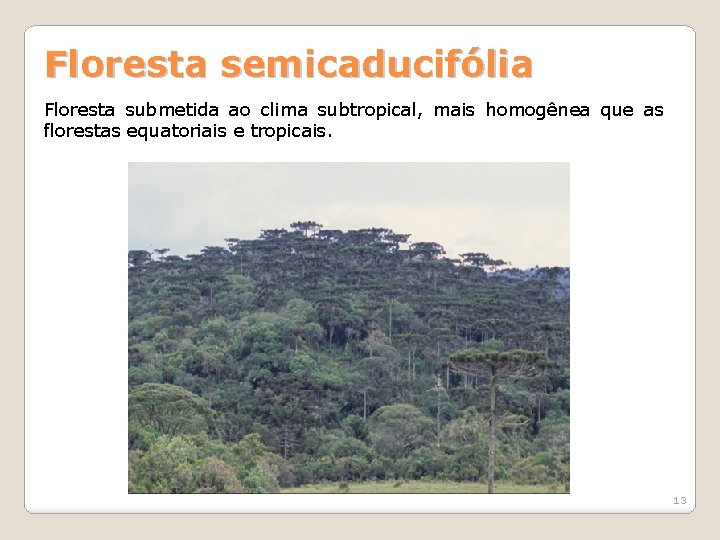 Floresta semicaducifólia Floresta submetida ao clima subtropical, mais homogênea que as florestas equatoriais e Floresta semicaducifólia Floresta submetida ao clima subtropical, mais homogênea que as florestas equatoriais e