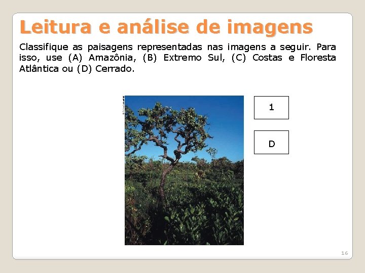 Leitura e análise de imagens Classifique as paisagens representadas nas imagens a seguir. Para