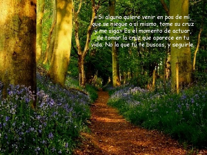  «Si alguno quiere venir en pos de mí, que se niegue a sí