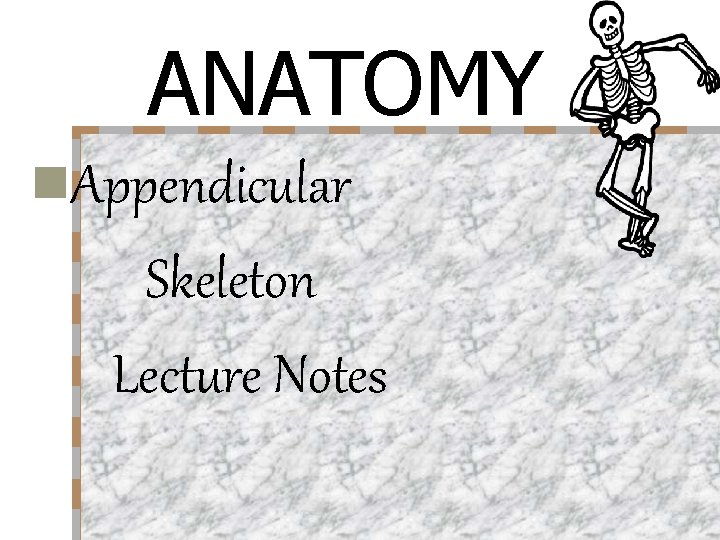 ANATOMY n. Appendicular Skeleton Lecture Notes 