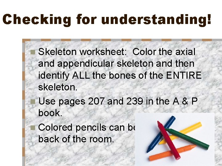 Checking for understanding! n Skeleton worksheet: Color the axial and appendicular skeleton and then