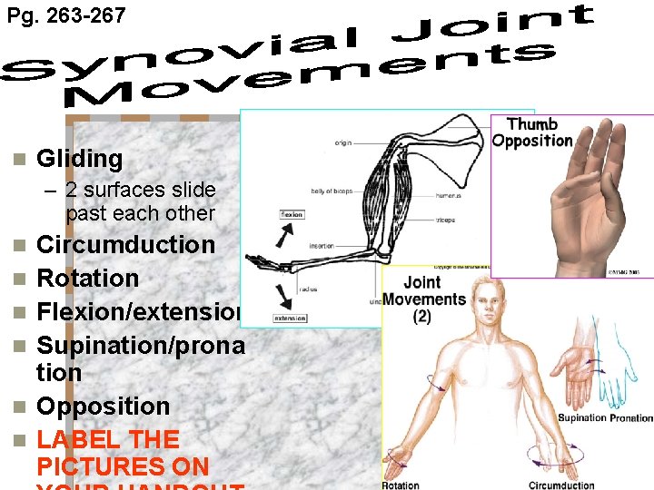 Pg. 263 -267 n Gliding – 2 surfaces slide past each other n n