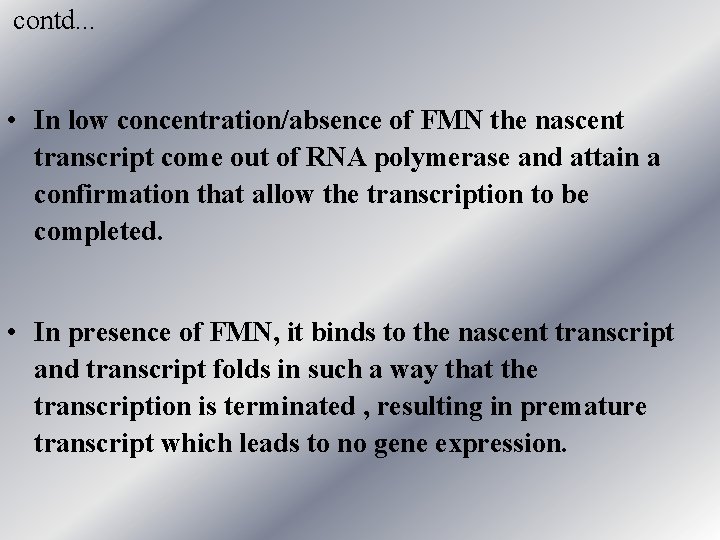 contd. . . • In low concentration/absence of FMN the nascent transcript come out