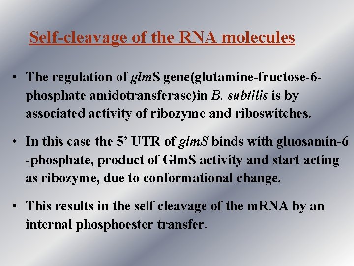 Self-cleavage of the RNA molecules • The regulation of glm. S gene(glutamine-fructose-6 phosphate amidotransferase)in