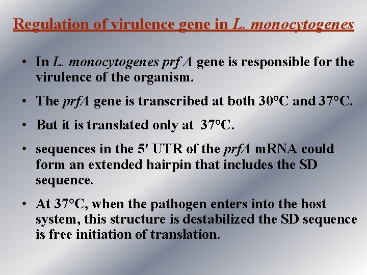 Regulation of virulence gene in L. monocytogenes • In L. monocytogenes prf A gene