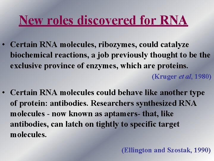 New roles discovered for RNA • Certain RNA molecules, ribozymes, could catalyze biochemical reactions,
