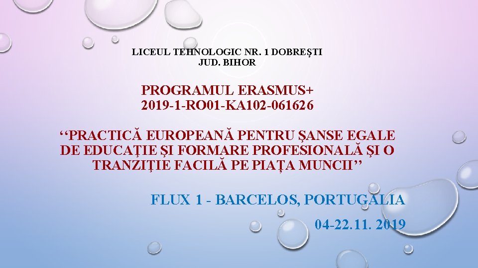 LICEUL TEHNOLOGIC NR. 1 DOBREȘTI JUD. BIHOR PROGRAMUL ERASMUS+ 2019 -1 -RO 01 -KA