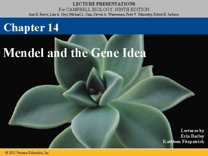 LECTURE PRESENTATIONS For CAMPBELL BIOLOGY, NINTH EDITION Jane B. Reece, Lisa A. Urry, Michael