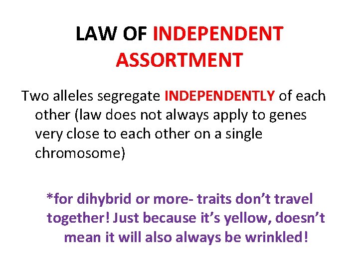 LAW OF INDEPENDENT ASSORTMENT Two alleles segregate INDEPENDENTLY of each other (law does not