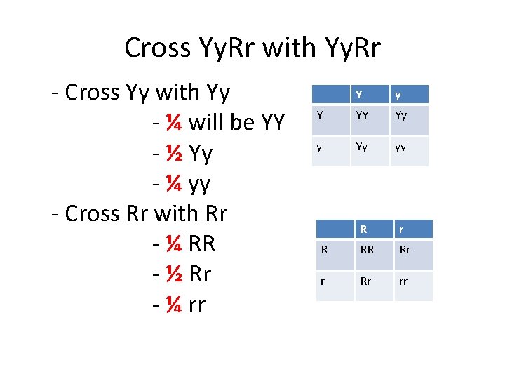 Cross Yy. Rr with Yy. Rr - Cross Yy with Yy - ¼ will