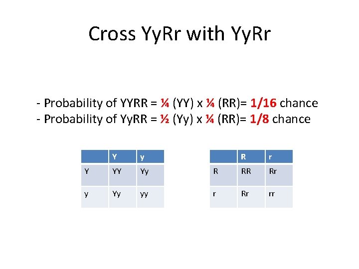 Cross Yy. Rr with Yy. Rr - Probability of YYRR = ¼ (YY) x