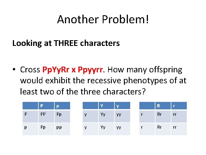 Another Problem! Looking at THREE characters • Cross Pp. Yy. Rr x Ppyyrr. How