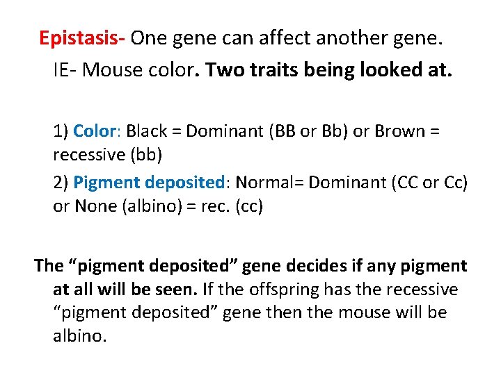 Epistasis- One gene can affect another gene. IE- Mouse color. Two traits being looked