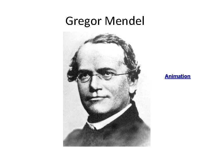 Gregor Mendel Animation 