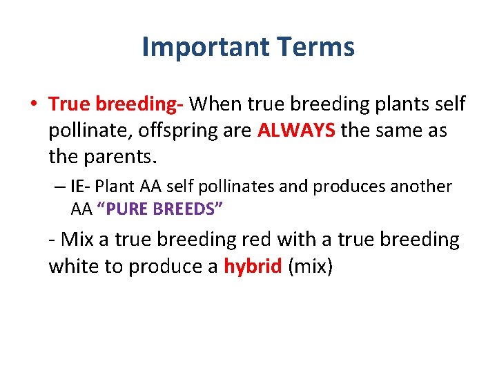 Important Terms • True breeding- When true breeding plants self pollinate, offspring are ALWAYS
