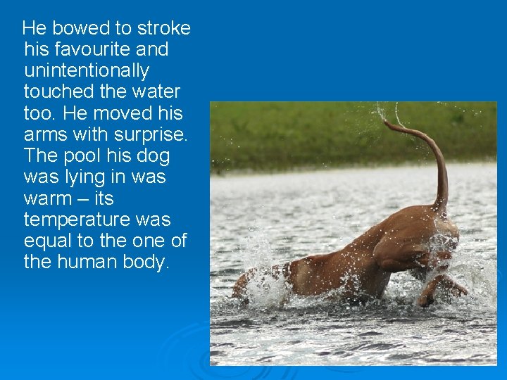 He bowed to stroke his favourite and unintentionally touched the water too. He moved