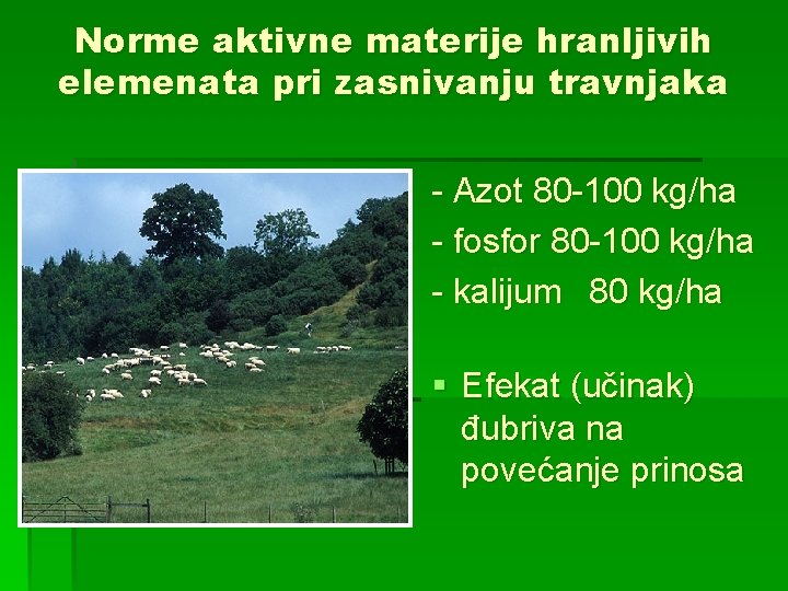 Norme aktivne materije hranljivih elemenata pri zasnivanju travnjaka - Azot 80 -100 kg/ha -