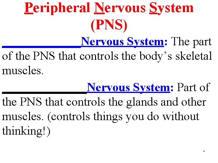 Peripheral Nervous System (PNS) _______Nervous System: The part of the PNS that controls the