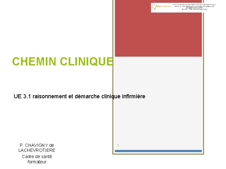 CHEMIN CLINIQUE UE 3. 1 raisonnement et démarche clinique infirmière P. CHAVIGNY de LACHEVROTIERE