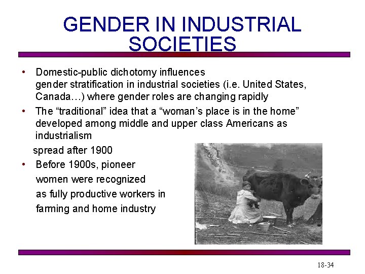 GENDER IN INDUSTRIAL SOCIETIES • Domestic-public dichotomy influences gender stratification in industrial societies (i.