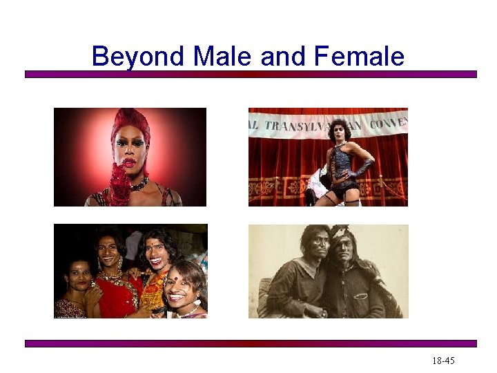 Beyond Male and Female 18 -45 