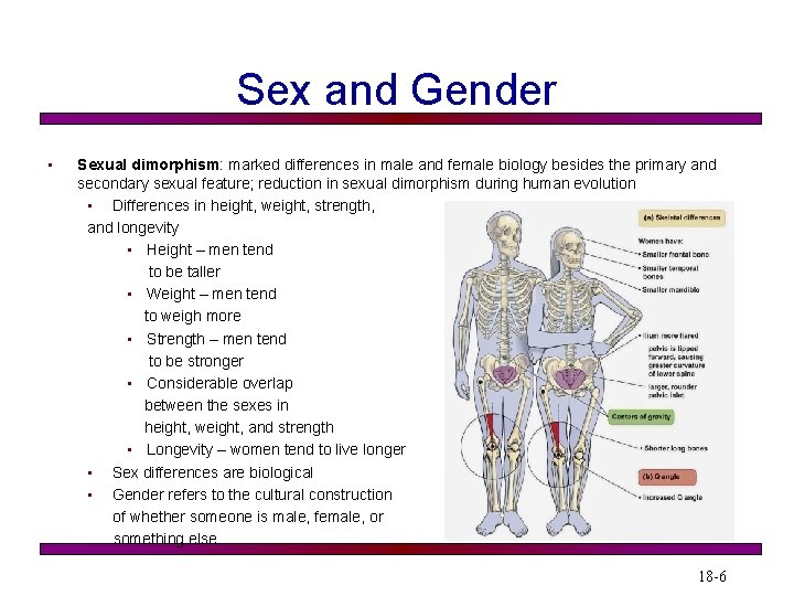 Sex and Gender • Sexual dimorphism: marked differences in male and female biology besides Sex and Gender • Sexual dimorphism: marked differences in male and female biology besides