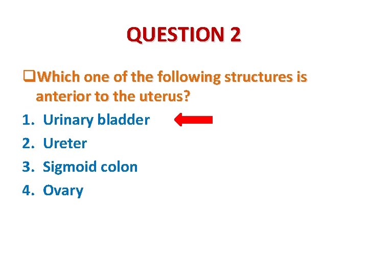 QUESTION 2 q. Which one of the following structures is anterior to the uterus? QUESTION 2 q. Which one of the following structures is anterior to the uterus?
